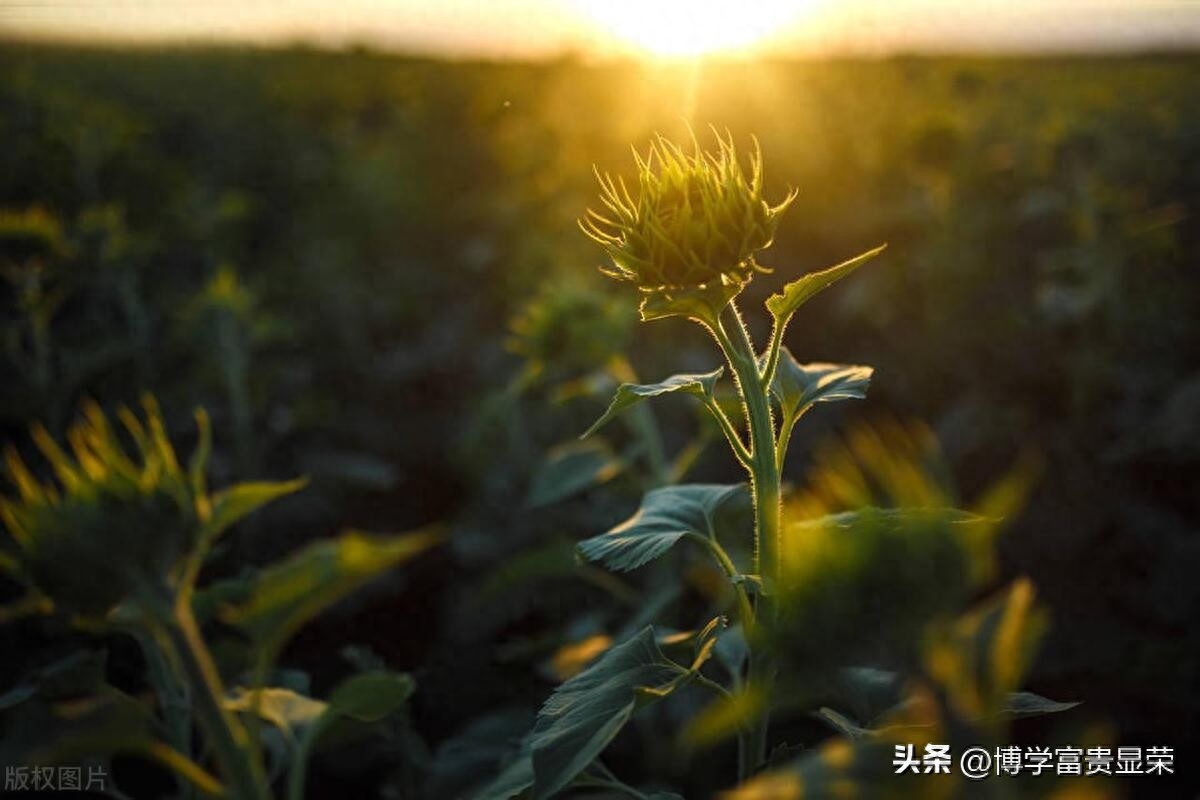 致自己的干净治愈文案