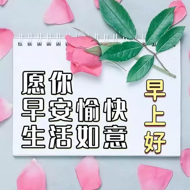 优美早上好问候语文案图片精选