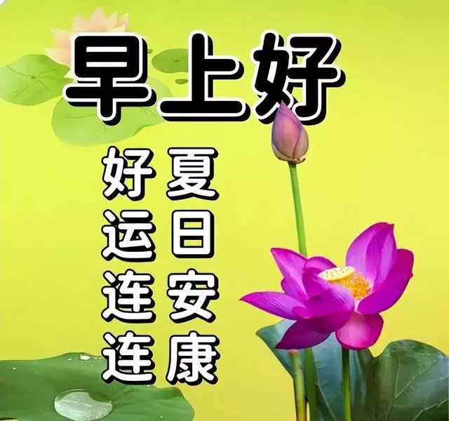 优美早上好问候语文案图片精选