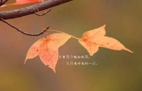 温柔治愈的九月文案