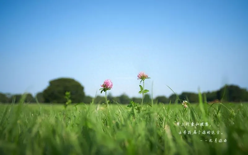 温柔治愈的九月文案