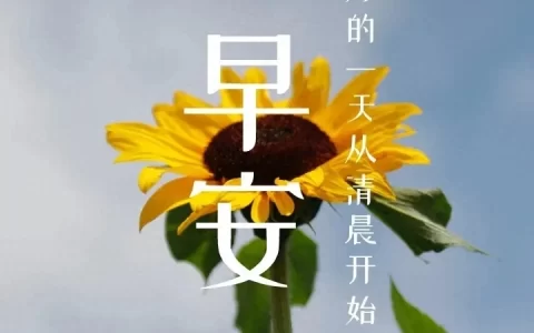 早安心语每日一句朋友圈文案