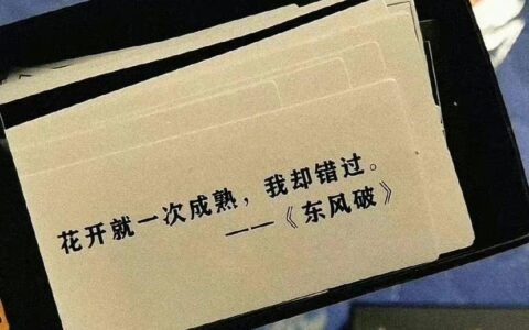 高级又小众的文案