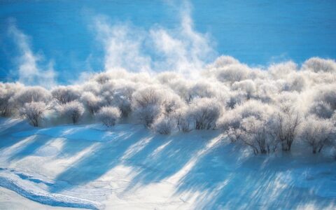 30句雪舞冬韵的哲思文案