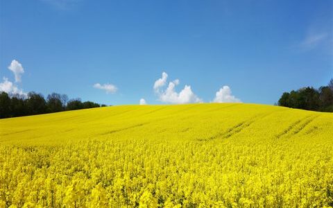 腊八节送给爱人的说说39句 腊八节的情话说说