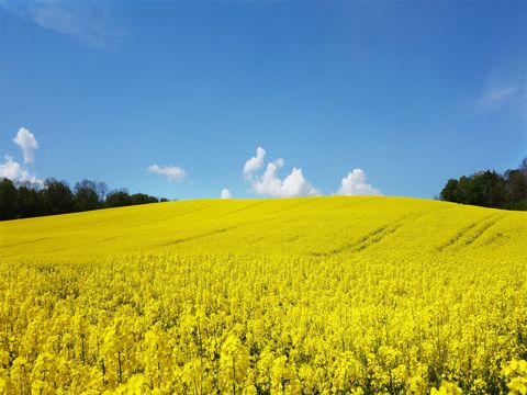 腊八节送给爱人的说说39句 腊八节的情话说说