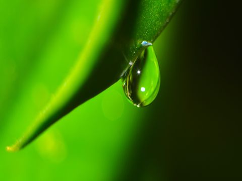 QQ抖音扩列超拽的自我介绍签名 没了你的日子，我很快乐