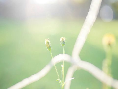 抖音最热门的女生可爱说说带图片