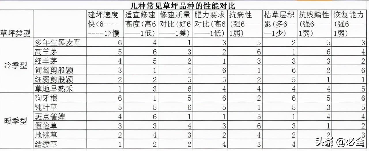 草坪草有哪些品种（详解草的种类）