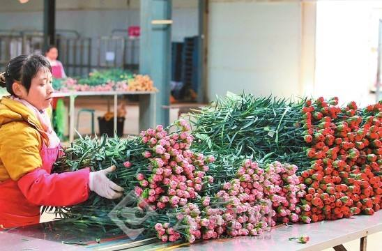 买来的花束怎么养活（了解鲜花的养护技巧）