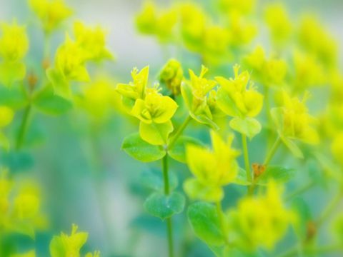 五一劳动节祝福语大全 最新劳动节祝福短信