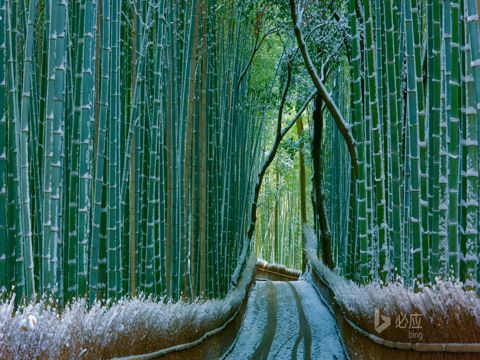 关于中秋节的唯美句子   今夜无恨，但愿年年岁岁似今夕