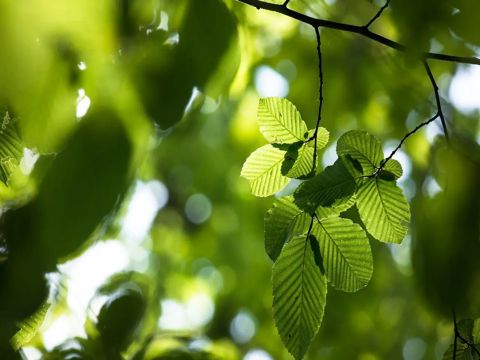 2023春节祝福语简短   充满仁爱的时节