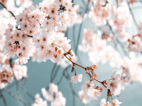 关于在夏季相逢的个性签名文案 夏日邂逅的好听文案