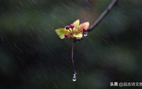 写雨的诗有哪些（描写春雨的优美句子）