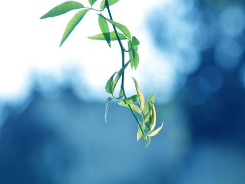 qq说说幸福爱情带图片 想有一天挽着你的手去想去的地方