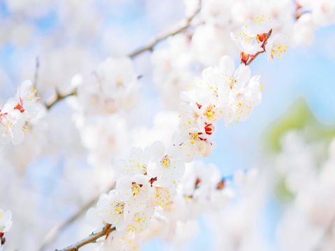 电影情人节说说情侣幸福浪漫 橙色情人节情侣个性说说