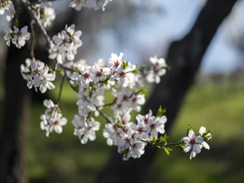 圣诞节说说经典大全 2022圣诞节微信说说祝福语