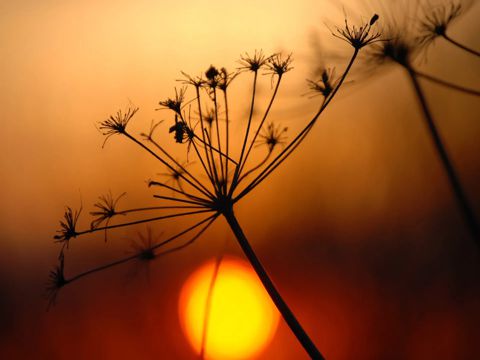 适合发朋友圈的七夕情话说说 七夕微信浪漫表白情话说说大全