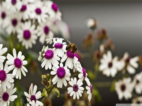 中元节伤感的说说  中元节对逝去亲人思念的句子