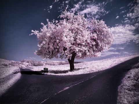 劳动节祝福语  抓住轻松的美妙，揪住快乐的美好