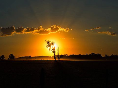 端午节微信短信祝福语合集 2022端午节致所有人的节日祝福