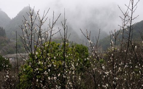 个性签名被友情伤感句子 你若聪明，莫把那人当作朋友