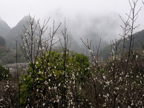 个性签名被友情伤感句子 你若聪明，莫把那人当作朋友