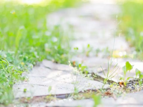 撩男朋友的长的情话甜炸了 又甜又撩的男友套路情话