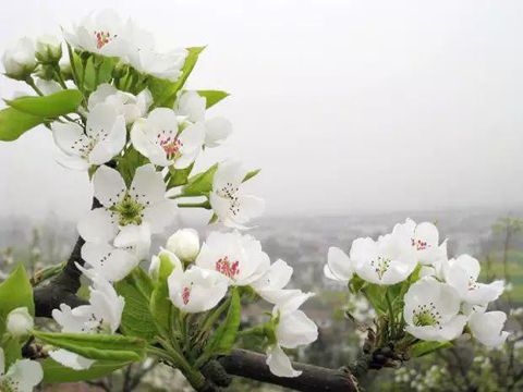 能够俘获女孩芳心的表白文案 很高级的超甜的朋友圈句子