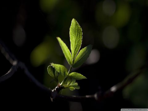 2023儿童节祝福语大全 世上只有节日好，天真只有儿童节