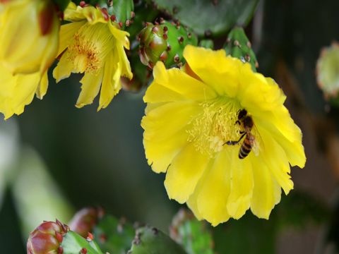 关于中元节的祝福语微信问候语句子合集30句