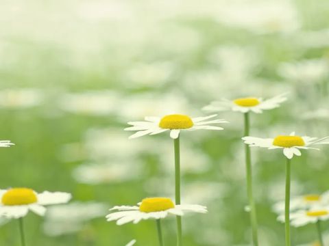 朋友圈谷雨祝福语说说2022 关于谷雨节气的祝福说说大全