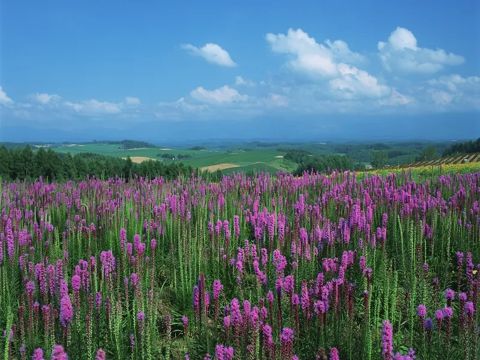 2022小雪节气说说大全 小雪节气微信朋友圈祝福语说说