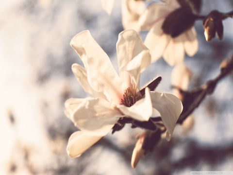 儿童节短信祝福语大全 祝六一快乐久久幸福久久