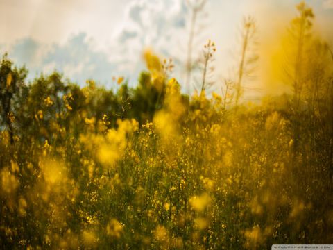 简短个性的伤感签名 人生就是一场又一场的奔赴