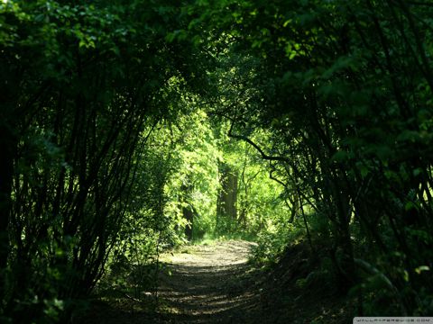 与星星有关的个性签名 在我的眼里，是飘渺无虚的