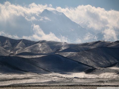 2023情人节最火文案短句  在这浪漫的情人节里，我只献给我最亲爱的你