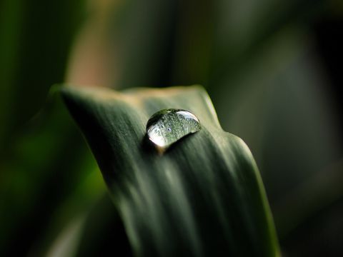 儿童节祝福语搞笑 当流行恋上大地，不惜陨落