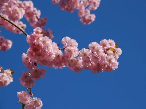 情人节唯美的朋友圈说说文案  我想要和你一起慢慢变老