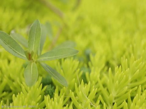 关于小雪节气发朋友圈的心情说说 小雪节气的超级好听的文案