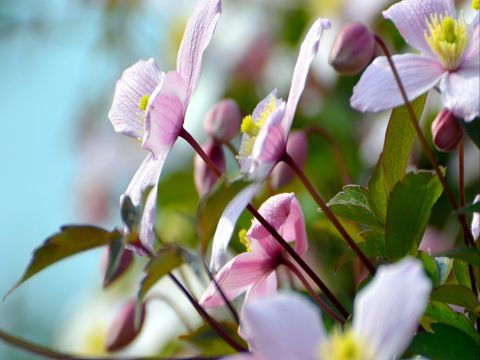 六一儿童节祝福语大全集 六一短信到，让快乐与你轻轻拥抱