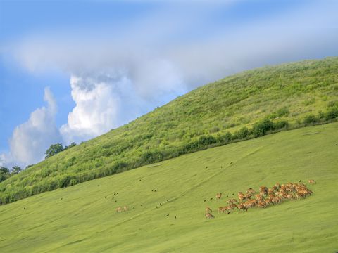 幼儿园六一儿童节祝福语 希望你的童趣永不变