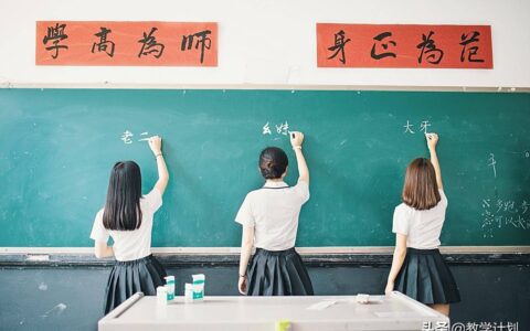 语文教学工作计划（小学语文大单元教学课题研究）