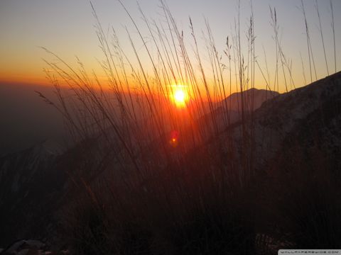 七夕节收到老公发红包的句子  亲亲你我，私守楼阁，鹊桥之夜永定今生