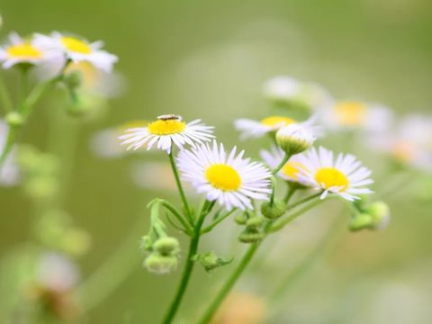 立秋问候客户简单祝福最新 立秋节日给客户的祝福语