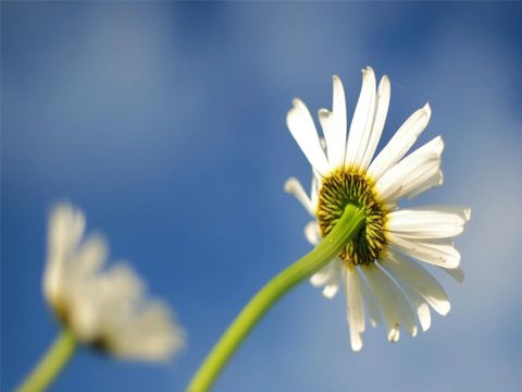 2022谷雨节气发朋友圈的说说 谷雨发朋友圈的祝福语