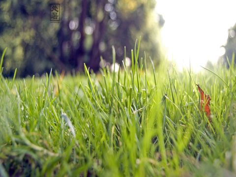 今天立秋送给朋友的祝福语  秋风丝丝，洒清凉；秋雨滴滴，烦躁除