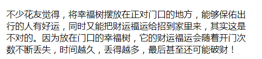 养白掌的风水禁忌是什么（白掌的养殖方法和注意事项）