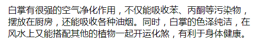 养白掌的风水禁忌是什么（白掌的养殖方法和注意事项）